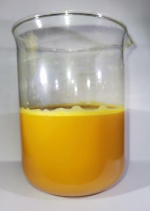 从鲜姜黄中提取姜黄油体的方法、姜黄油体微囊及应用